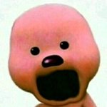 애들아 뭐가 더 나은지 추반 좀
