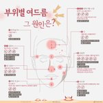 [드루와] <b>이니</b>슾 그린티 새럼 써본 사람