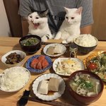 [드루와] <b>오타쿠</b>인데 양애치인 애들잇음?