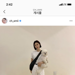 <b>차정원</b> 샌들 브랜드 아시는 분 ㅠㅡㅠ