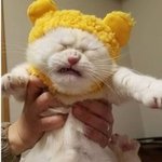 [댓글부탁해] 고1 문제집 추천하고가!!!