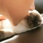 근데 웨이션브이+엔시티 다좋아하는사람