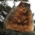 [댓글부탁해] 고등학교 <b>창체시간</b> 있어??