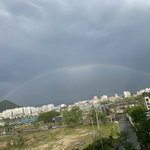 [이것좀봐줘] 국민청원동의<천사같은 다율이의 추락사 이야기> 꼭...