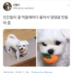 다들 요즘 꽂힌 거 하나씩 얘기하고 가기~!