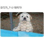 [댓글부탁해] 가성비 좋은 <b>반팔</b> 추천해주고가!!