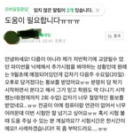 <b>다음</b>주 수요일 (20일)에 파이썬 시험 보는 대학교 어딘지 아는...