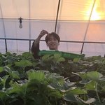 빅히트 노래하난 잘뽑아