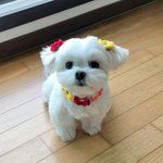 <b>물치</b> 가고 싶은 사람 있어?