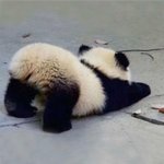 <b>안지영</b> 노래 부를때 특징