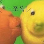 <b>엔페스</b> 하는 애들 있니