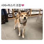 야 이 시바<b>스키</b>야!!!!!!!