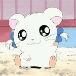 [19] 리얼돌 구매 했는데