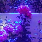 [드루와] <b>I</b>(E)NTP남자 50문 50답