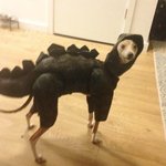 좋아하는 향수 말하고 가자!