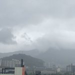 와앙 우리집 뒤에 안개봐