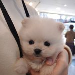 [이것좀봐줘] <b>울타리</b> 교육 실패 ㅋㅋㅋ