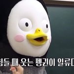 <b>저번</b>에 톡선올라왔었던 싸이쿨티비? 좋아???