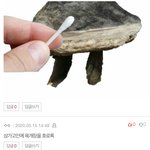 [19] 와 니네 고인<b>모독</b> 쩐다 ㅋㅋ.....