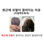 최근에 <b>모발</b>이 끊어지는 이유 !!