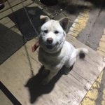 아 진짜 <b>내</b> <b>카톡</b> 말투 좀 고쳣음 좋겟다