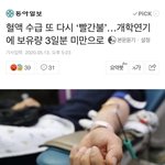 아니 애들아 상황 <b>개심</b>각해