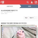 이 쓰니 줜1나 <b>기여</b>워 미치겠다ㅠㅠ
