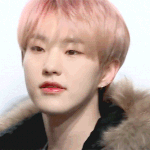 [세븐틴] 근데 스포 맞는것도 같음