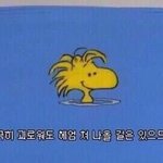 [댓글부탁해] 쌍수 망한 후기