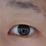 나 쌍수 추반좀