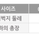 이 <b>사이즈</b>는 보통 어떤애들이 입는거냐