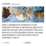 [댓글부탁해] 서울대 홈피 눈팅중인데