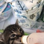 [드루와] <b>냠냠</b>ㅁ맘먄ㅁ먐