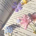 [댓글부탁해] 나 찐딴데 <b>승무원</b>이 꿈이야