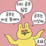 애들아 나 인스타 팔로우하는사람중에서 이 사람 <b>도용</b>하고다니는거같은데