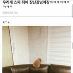 [드루와] 이거 맞는지 아닌지 봐조