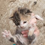 [댓글부탁해] ㅈㄴ 선<b>넘네</b>