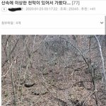 [댓글부탁해] <b>산속</b> 소름돋는 천막에 간 남자 ㄷㄷㄷㄷㄷㄷ