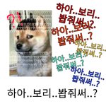 [19] 나 20분동안 <b>이</b><b>짓</b>함 ㅋㅋㅋ