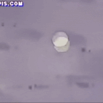 야 동<b>숲</b> 브금중에 커피숍이랑 박물관