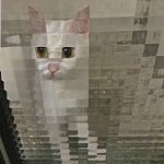 [댓글부탁해] 인디 곡 추천 해조라!!!!!!