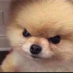 너네 남친이 전여친 공스타 <b>팔로</b>우하고있으면