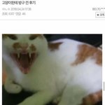 오늘 내 하루 봐줄사람~! 재밌음