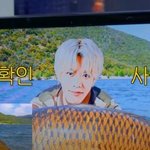 [NCT] 솔직히 스엠