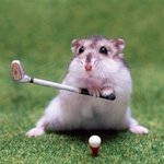 [<b>햄찌</b>] 뀨