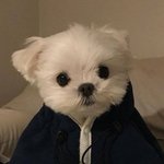 [<b>빛삭</b>] 나 예뻐?