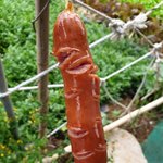 [19] 내 <b>소세지</b> 평가점 ㅎㅎㅎ