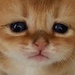 [드루와] 너넨 관심있는사람만 인스타 <b>염탐</b>함??