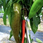 [19] 초딩남자애한테 번호따였어 ;;;