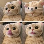 댓달면 달달한 노래 추천해줌